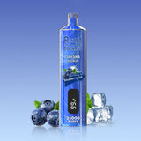 REndM Shisha 25000 Caladas Vape Desechable (Caja de 10)